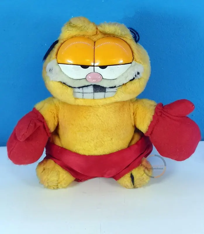 Garfield der Boxer